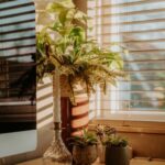resized_123171